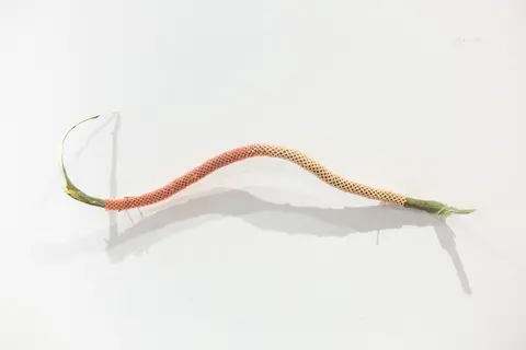 Pink and Orange Stick