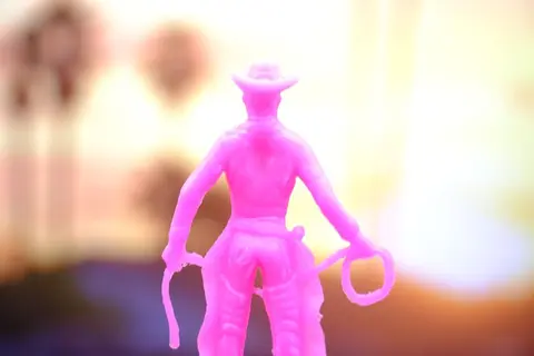 Introverted Cowboy