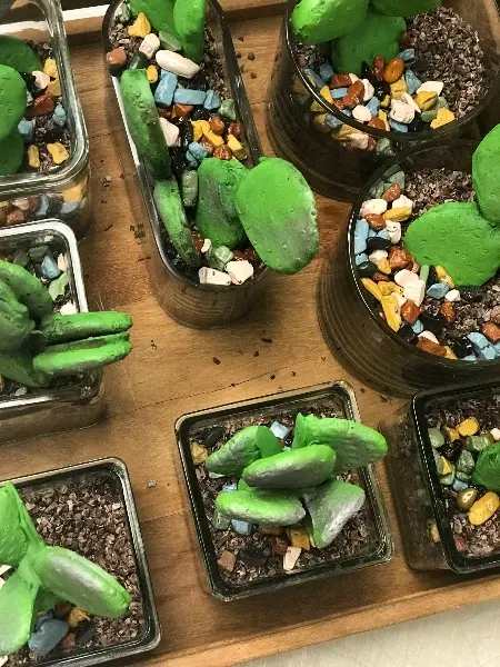 Chocolate