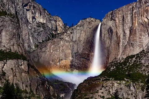 Midnight Moonbow