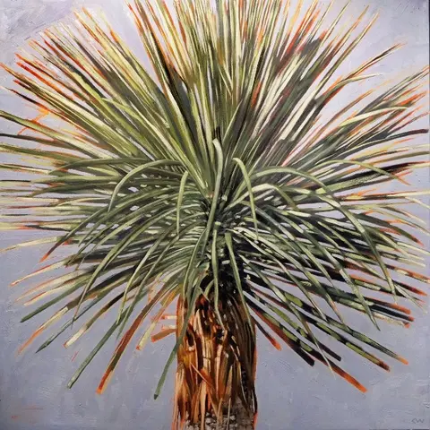 Agave Blue