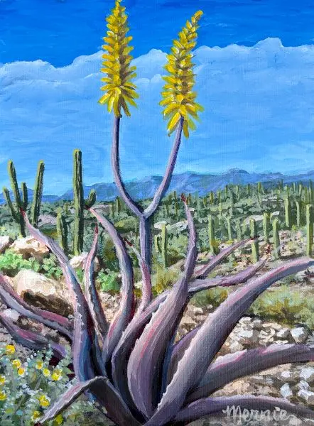 Aloe Agave