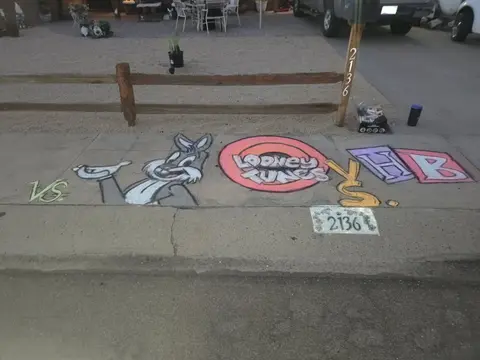 Cartoon Sidewalk Art - Click for Gallery