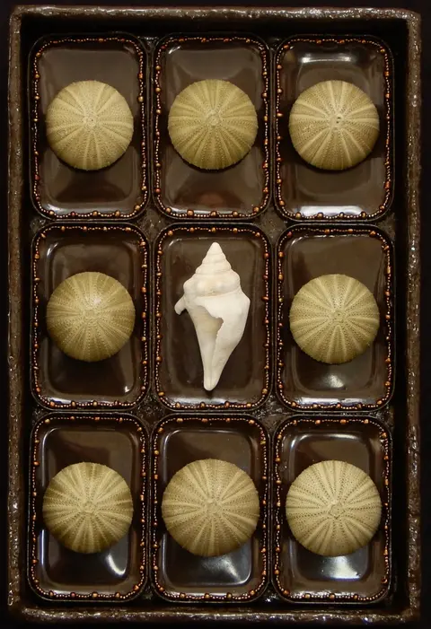 Sea Reliquary