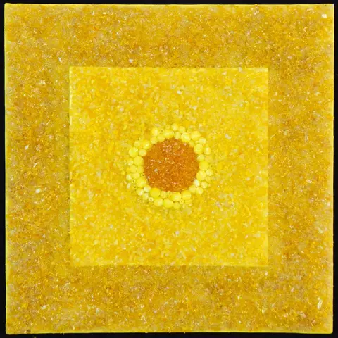 Sonoran Yellow