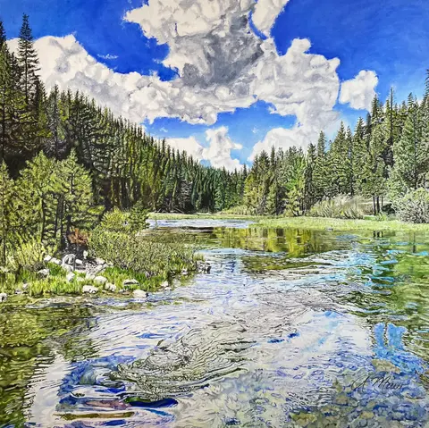 Forest Lake