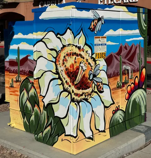 Buzzin' in Fountain Hills
