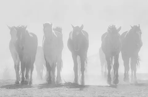 OUT OF THE DUST