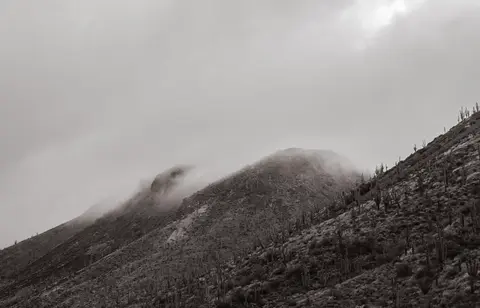 THE DESERT REMEMBERS