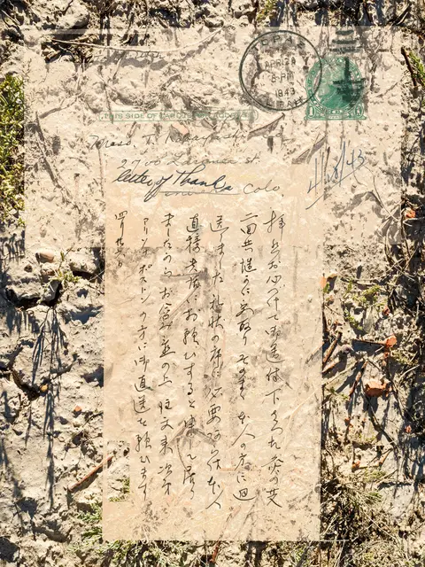 Kindly arrange it at once / Topaz incarceration camp near Delta, Utah – Thank you for previous shipment. Would like to order mugwort and have it directly shipped to Poston