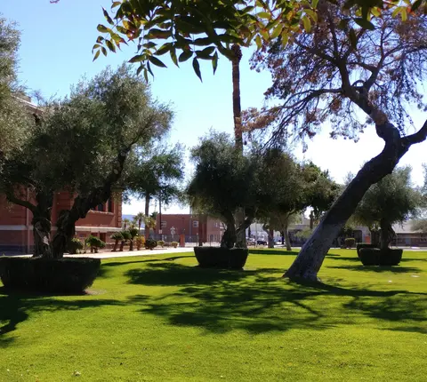 Museum of Arizona Artists (MOAZA)