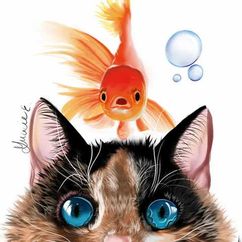 Seeing Eye to Eye