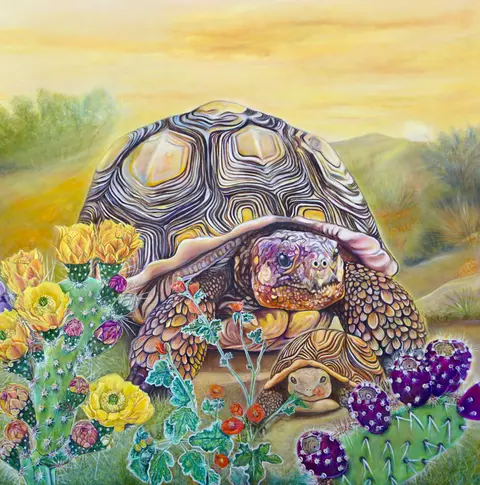 Fauna of Love: Cute Desert Turtles