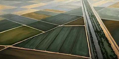 California Fields