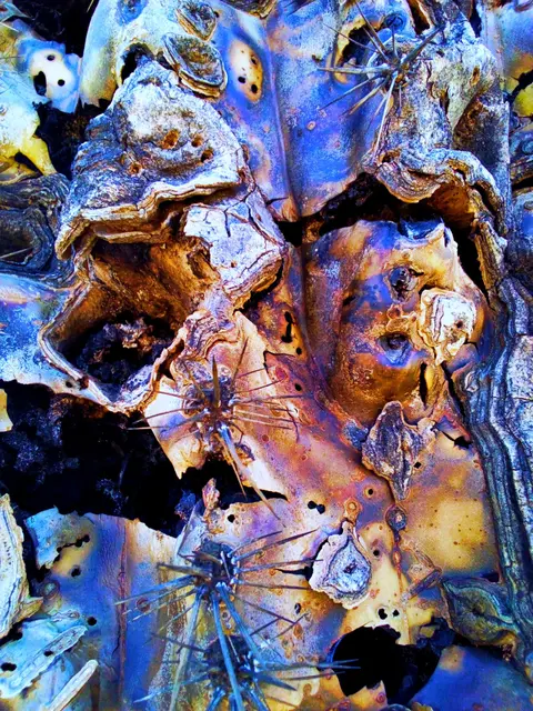more decay