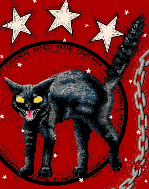 Sabo Tabby