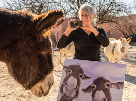 Donkey art