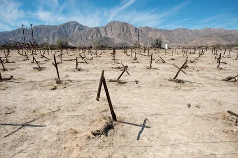 Abandoned Vineyard Borrego Springs CA.