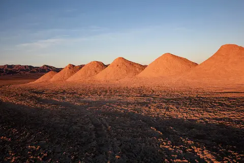 Salt Flats Amboy CA.