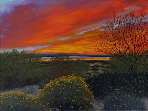 Sonoran Sunrise