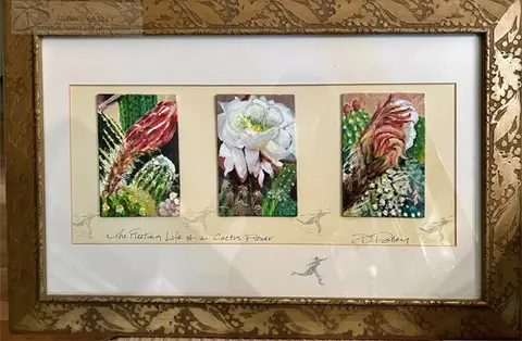 The Fleeting Life of a Cactus Flower