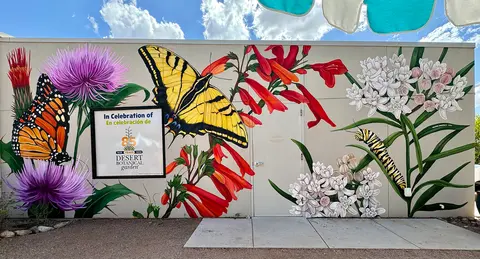 Pollination Celebration