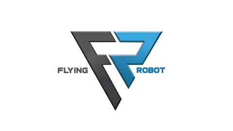 Flying Robot