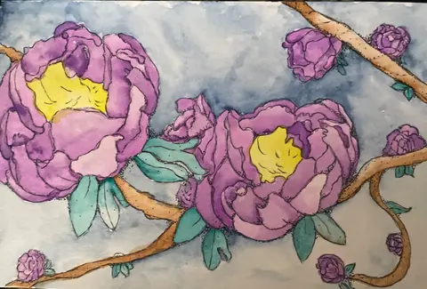 Purple Peony