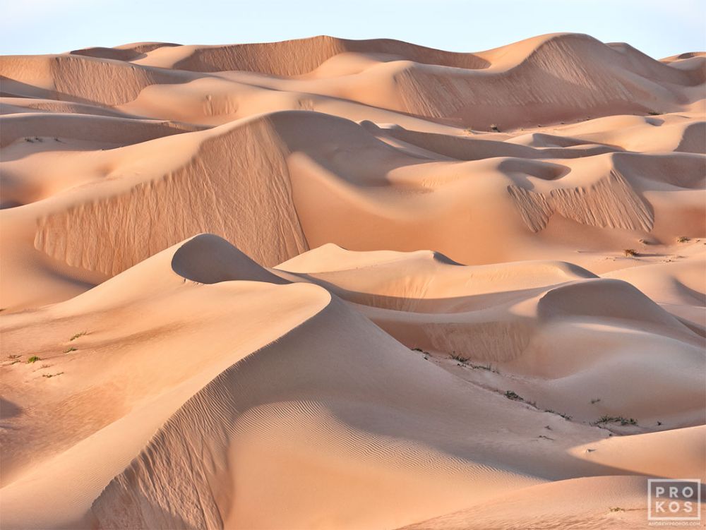 Dunescape #1 — image 1 of 1