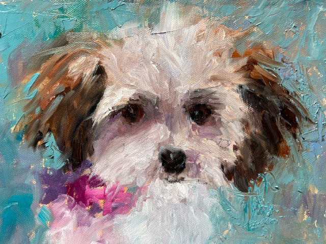 Workshop: Pet Portraits with Sue Hunter gallery photo 2
