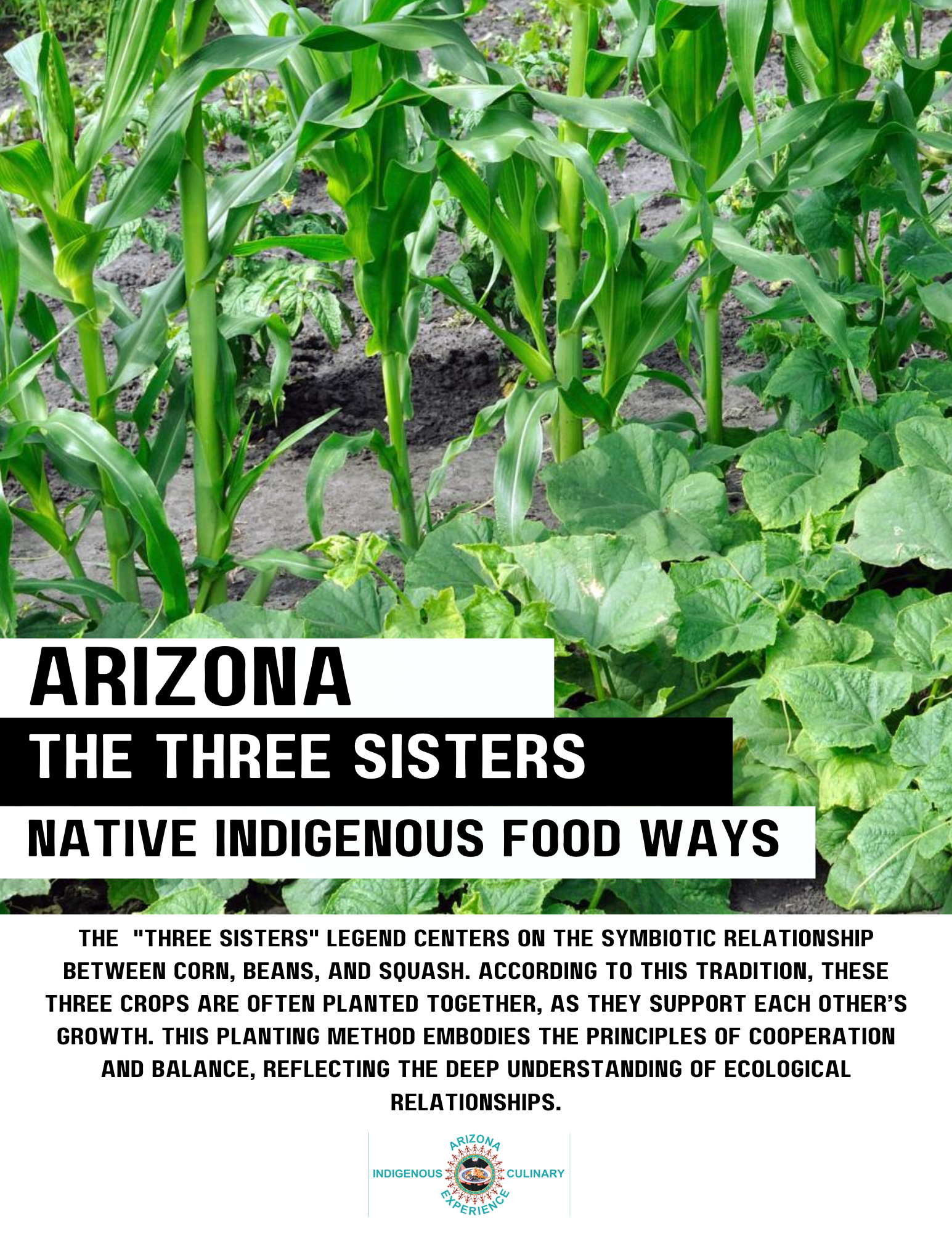 Flavors of Arizona gallery photo 3