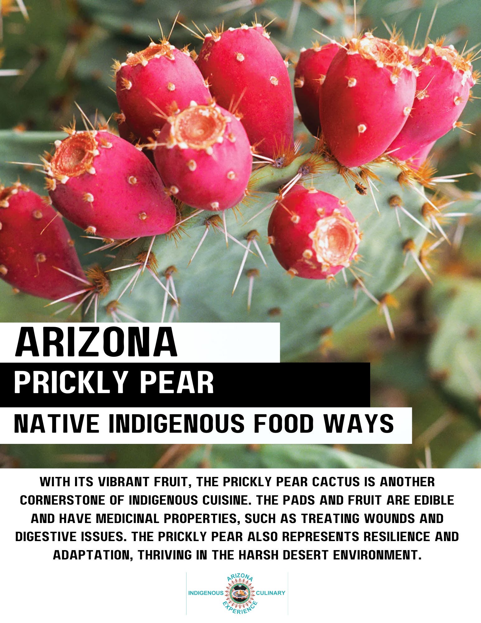 Flavors of Arizona gallery photo 4