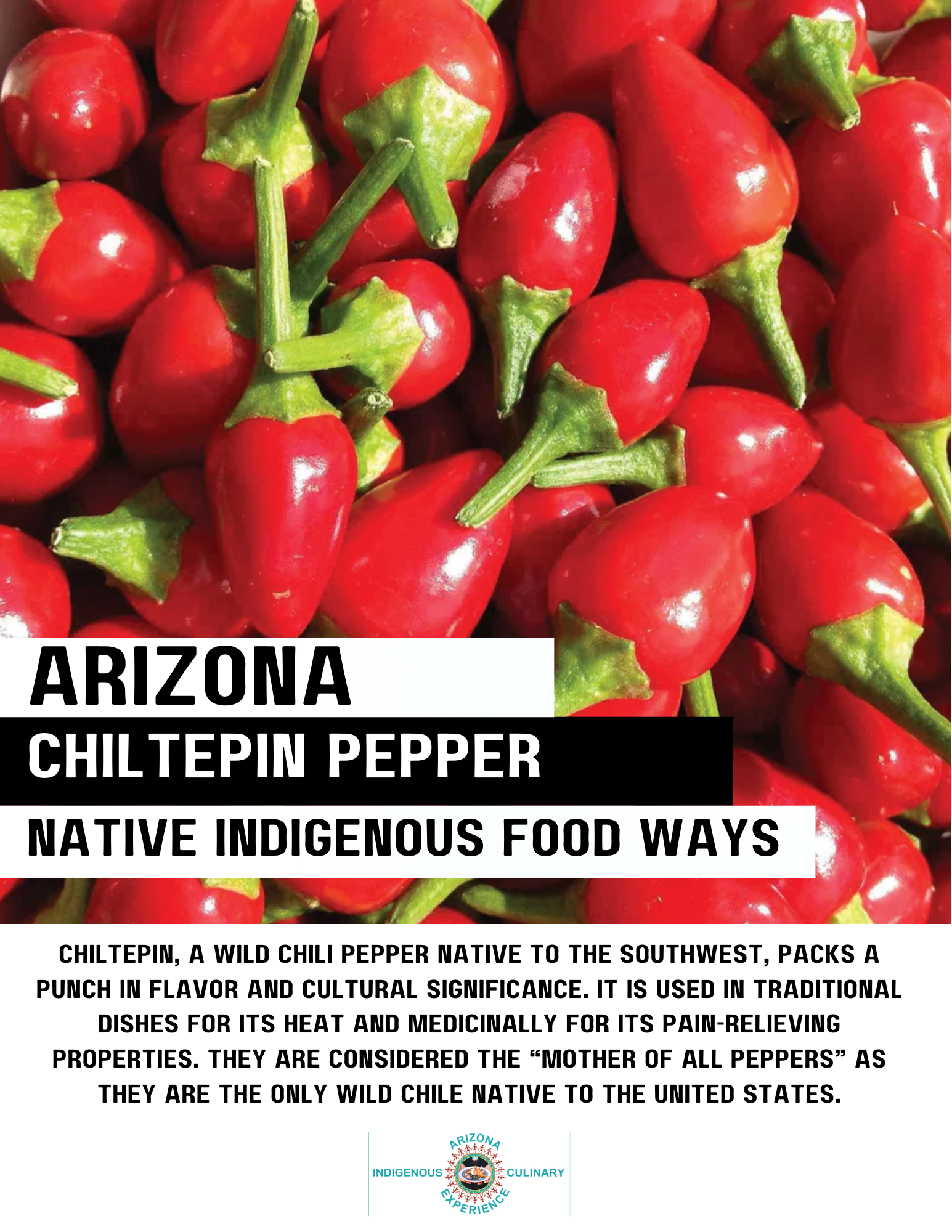 Flavors of Arizona gallery photo 5