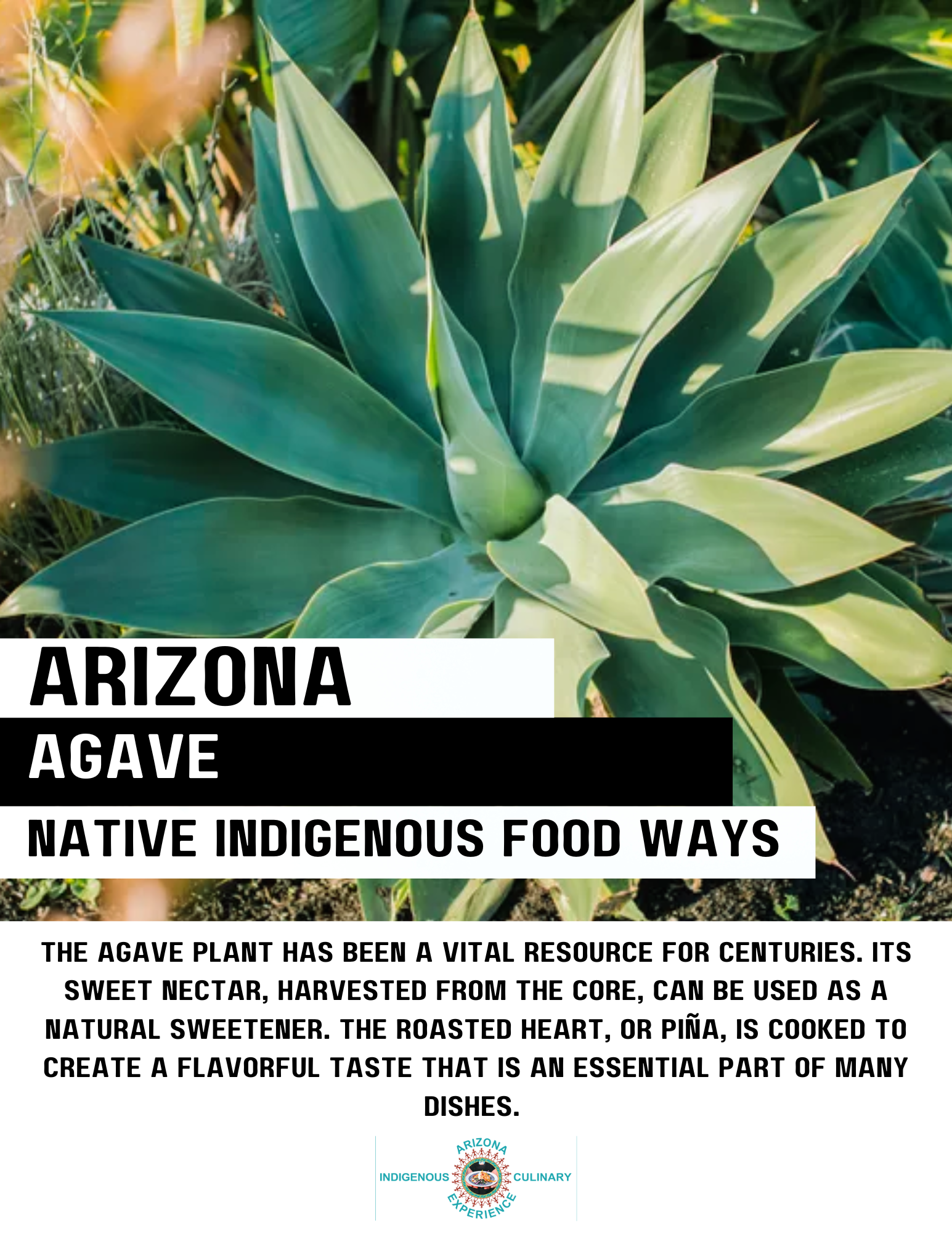 Flavors of Arizona gallery photo 8