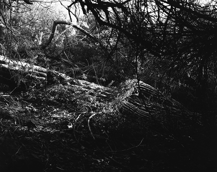 Sarah Hansegard gallery 7