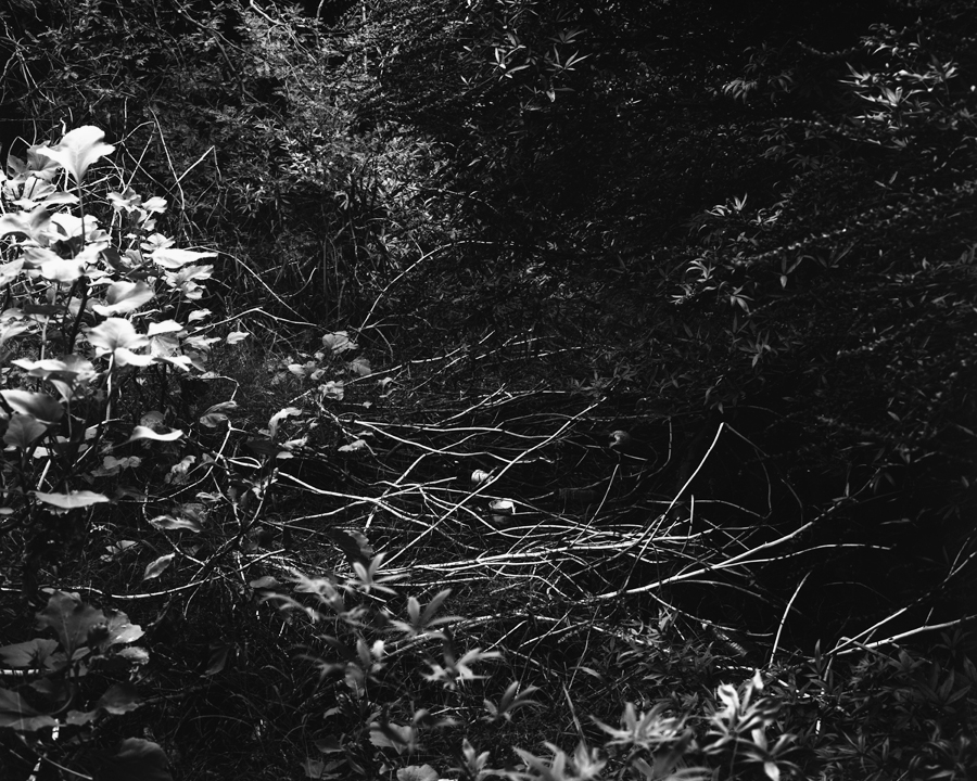 Sarah Hansegard gallery 8