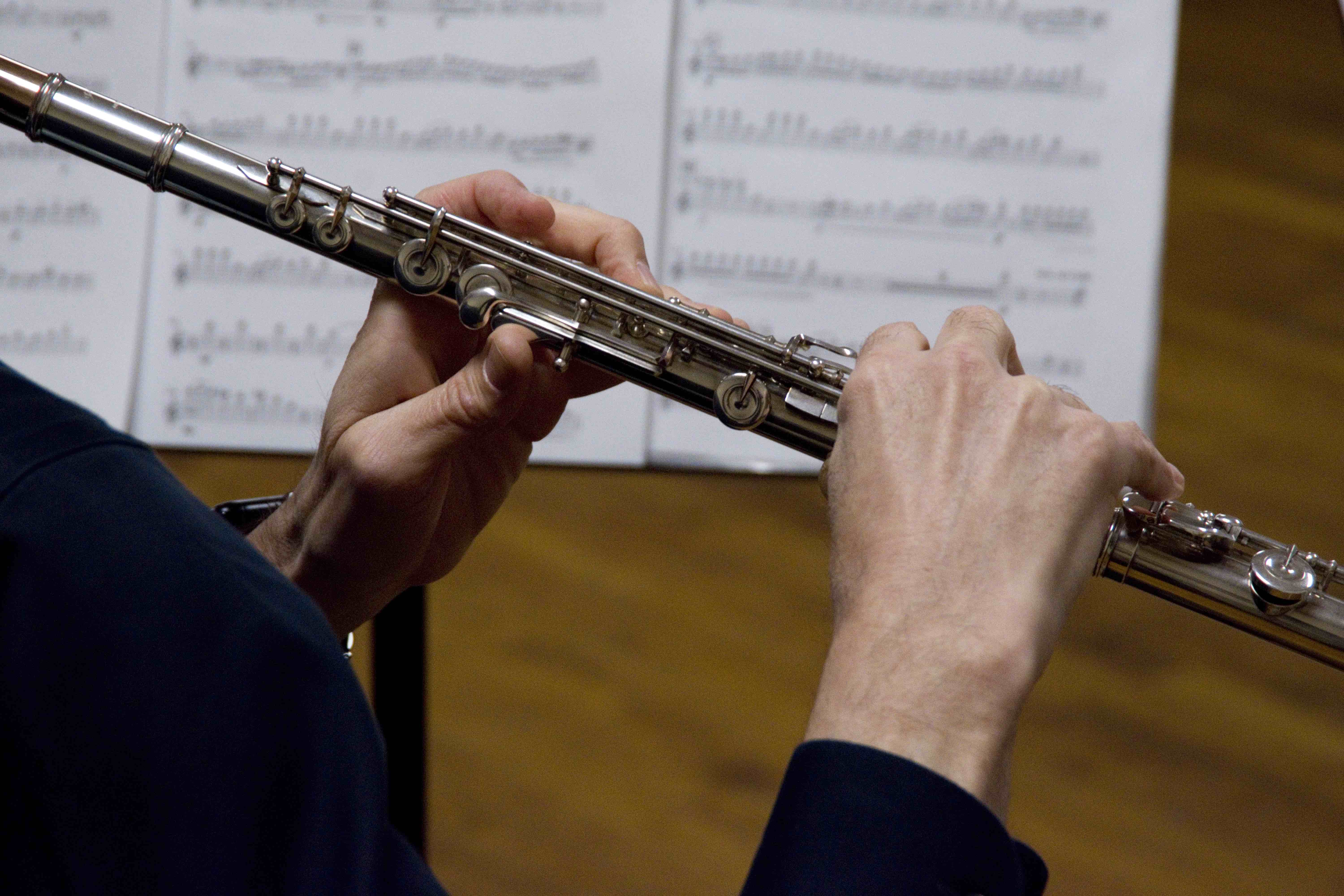 Central Arizona Flute Ensemble (CAFE Flutes) gallery 10