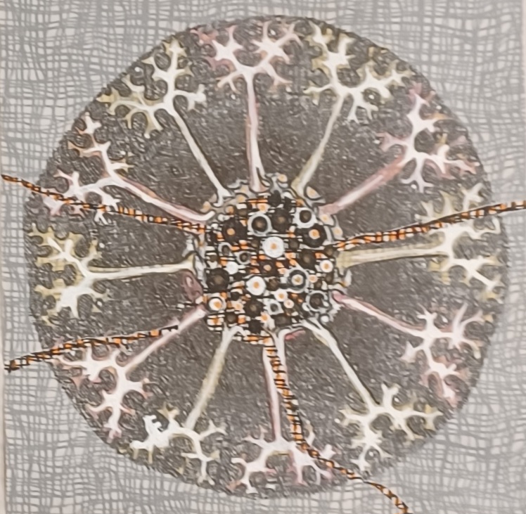 Squaring The Circle, solo exhibit by Marlys Kubicek gallery photo 2