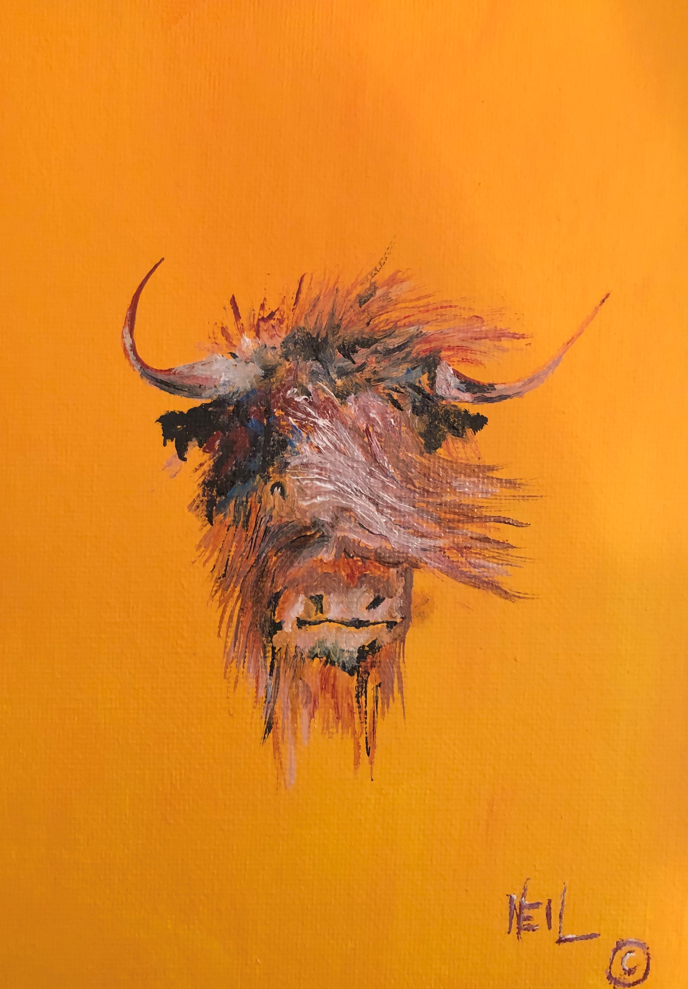 NEIL COYNE gallery 4