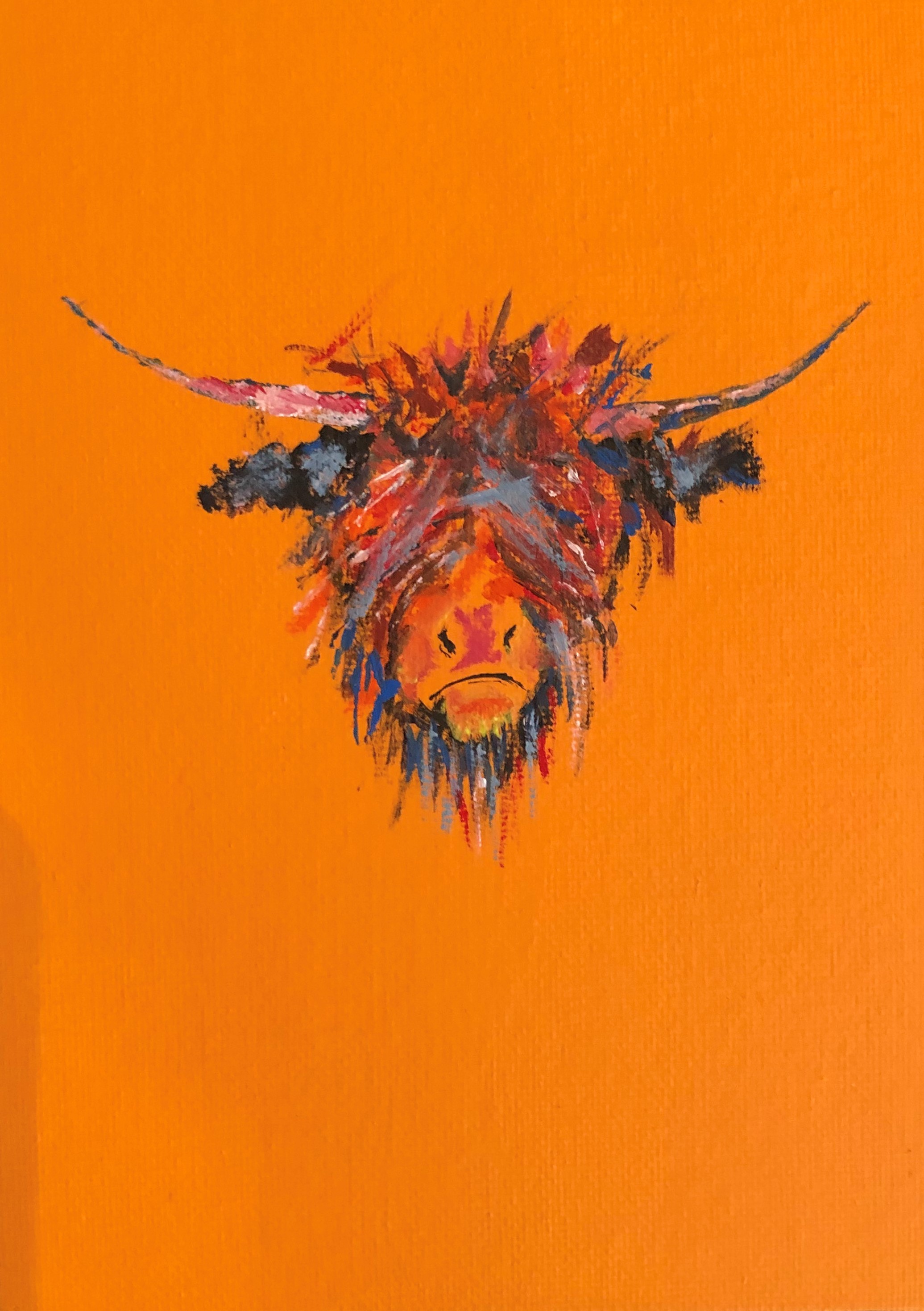 NEIL COYNE gallery 5