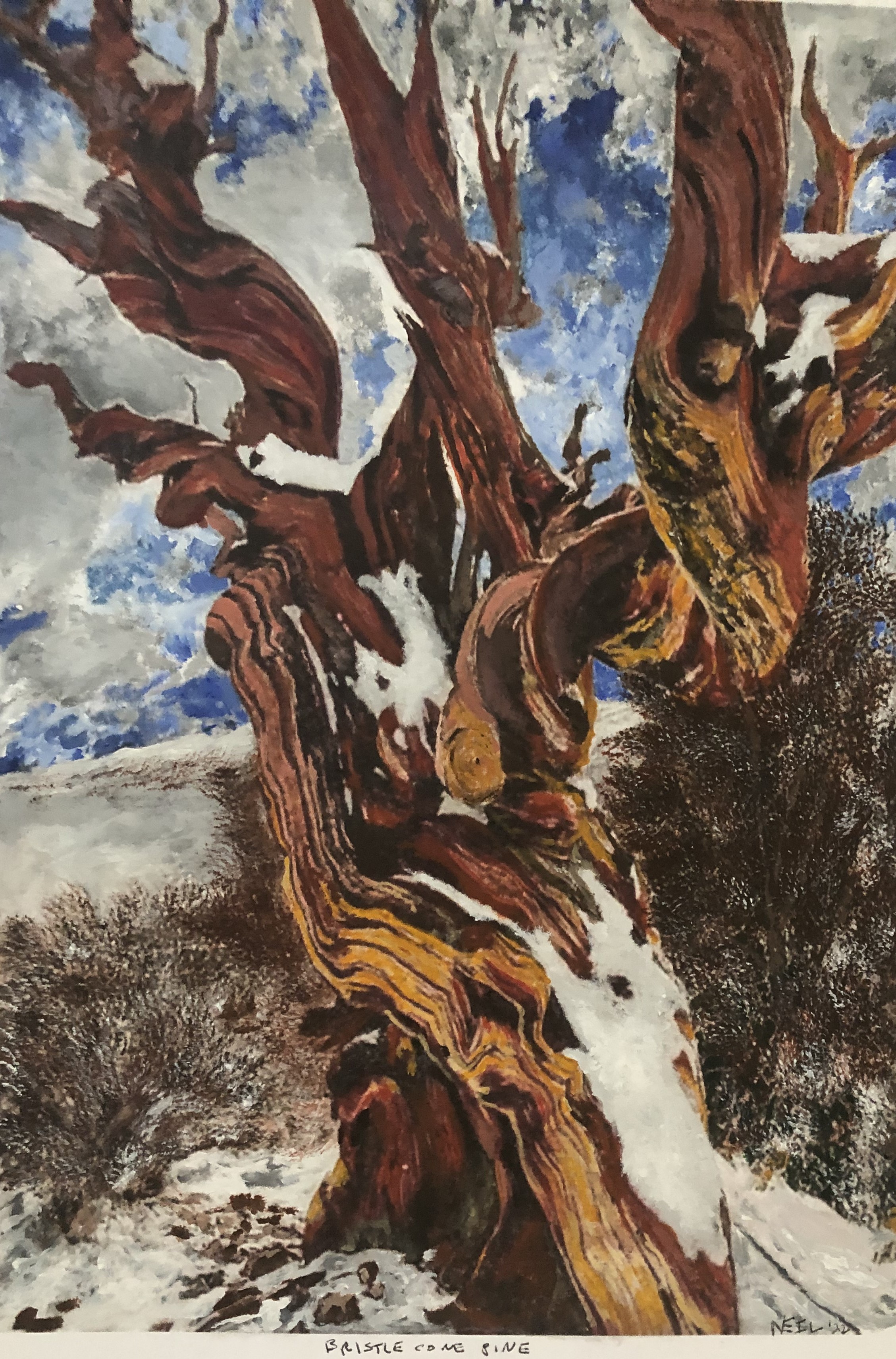 NEIL COYNE gallery 6