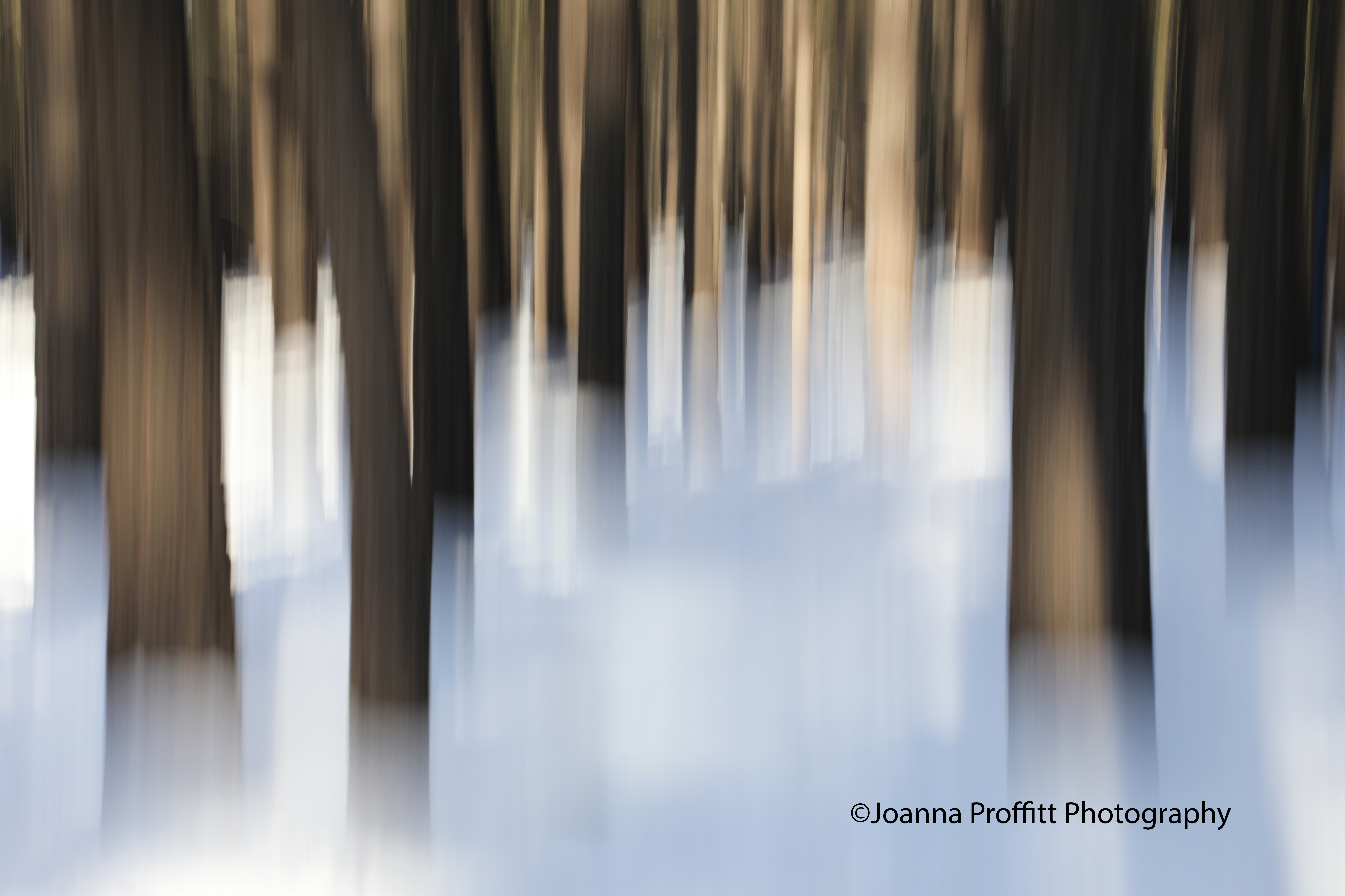 Joanna Proffitt gallery 1