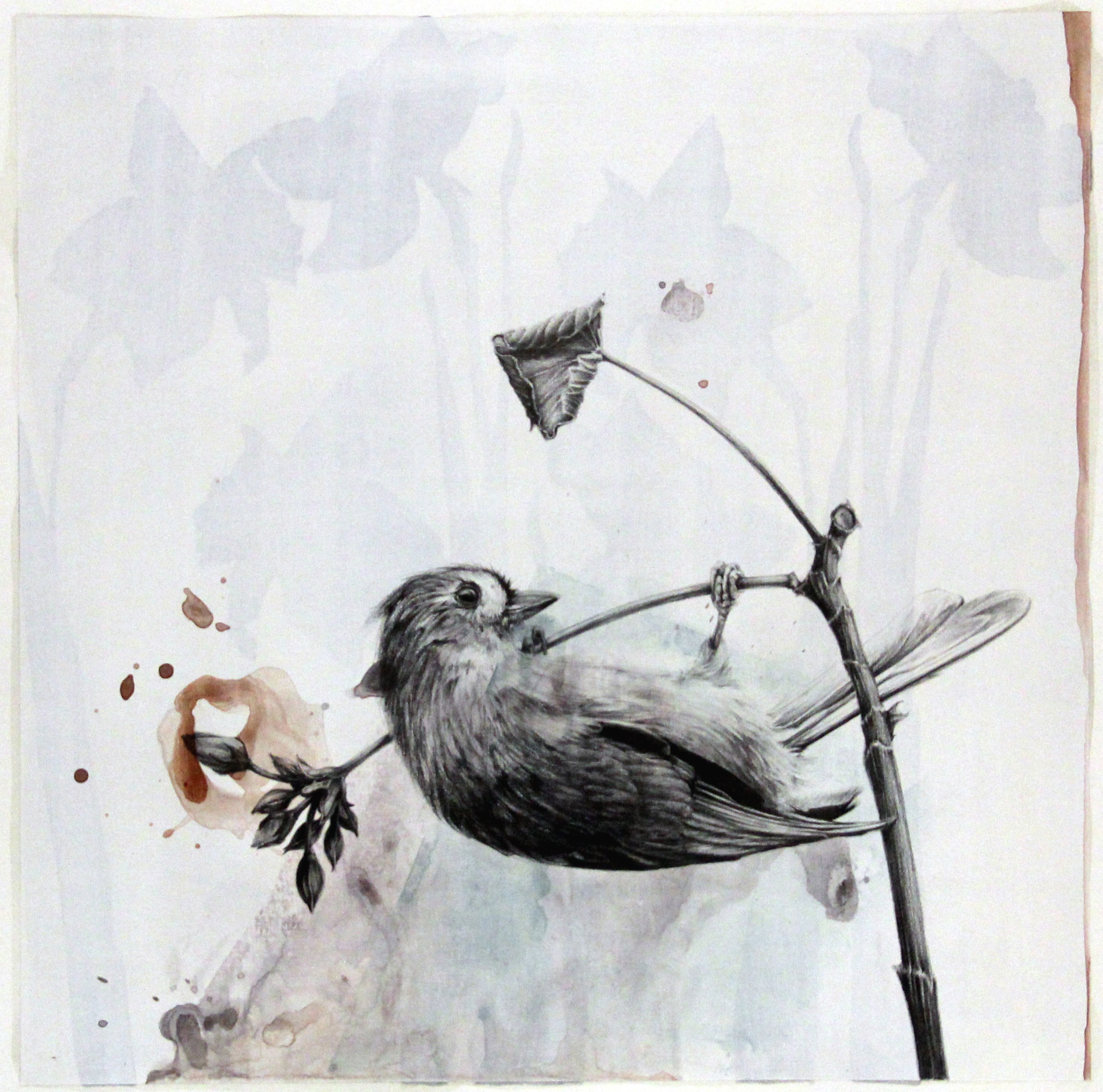 Wild Kingdoms - Sandy Newell & Beth Shook gallery photo 1
