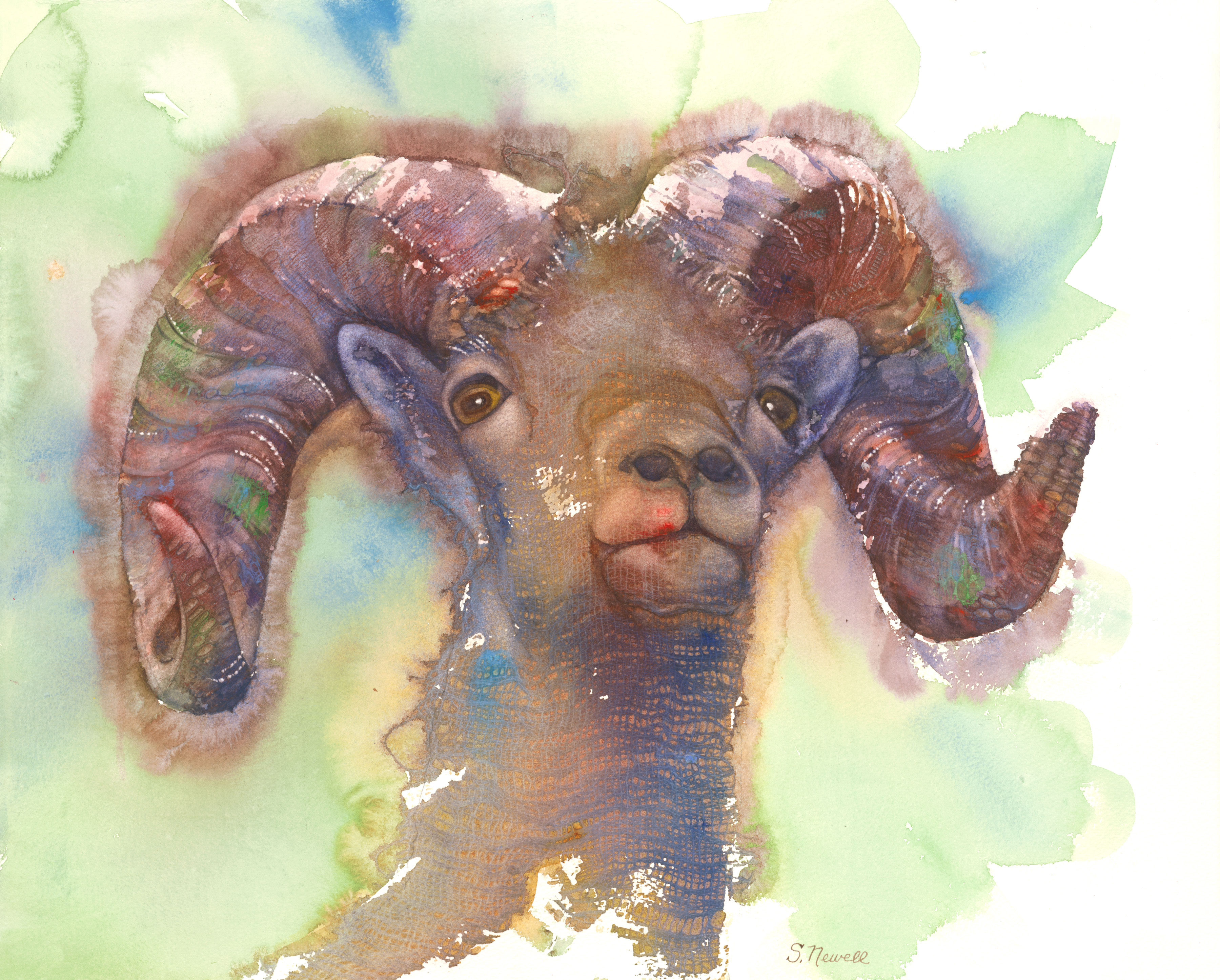 Wild Kingdoms - Sandy Newell & Beth Shook gallery photo 3