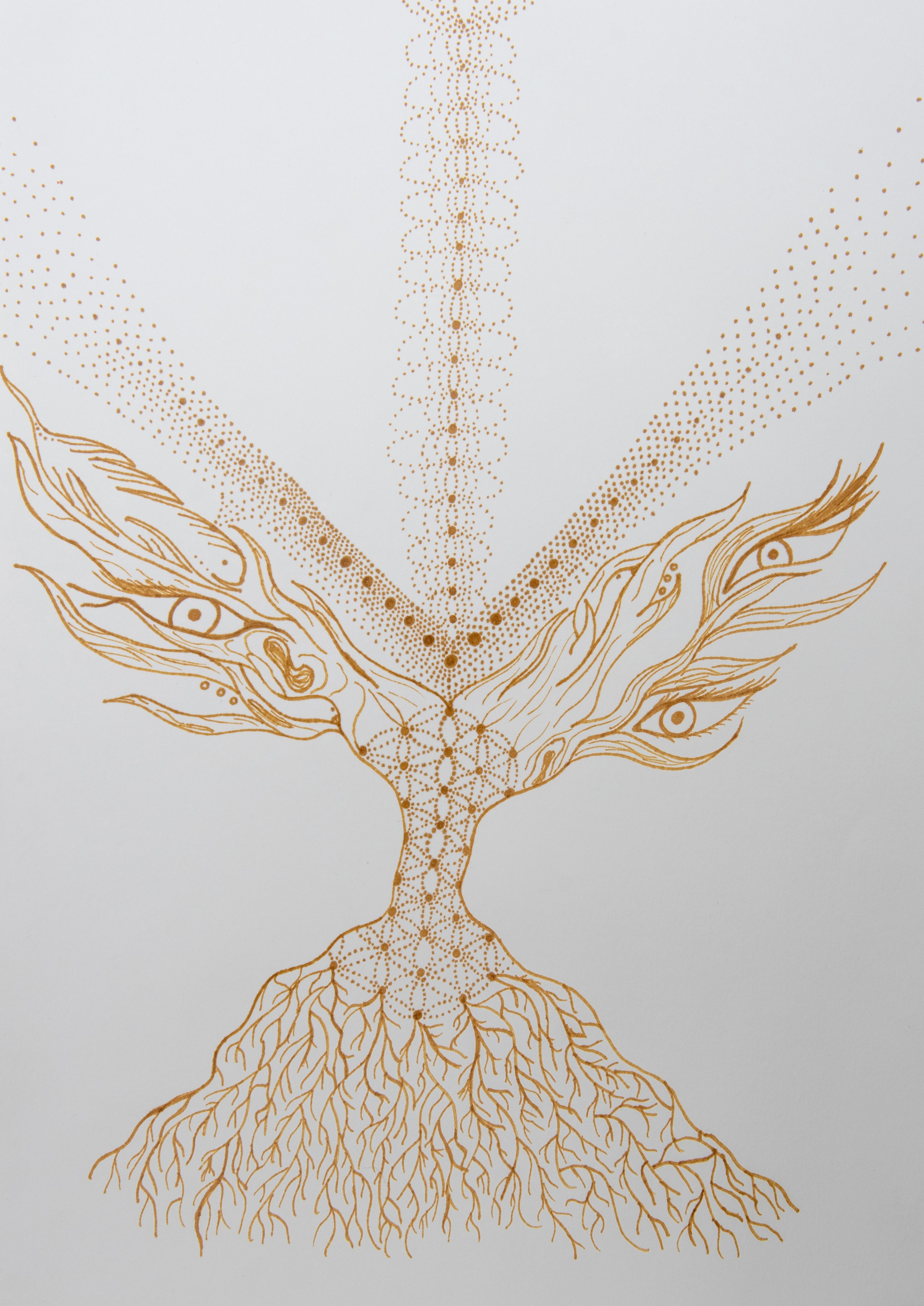 Maddie Fischer gallery 3