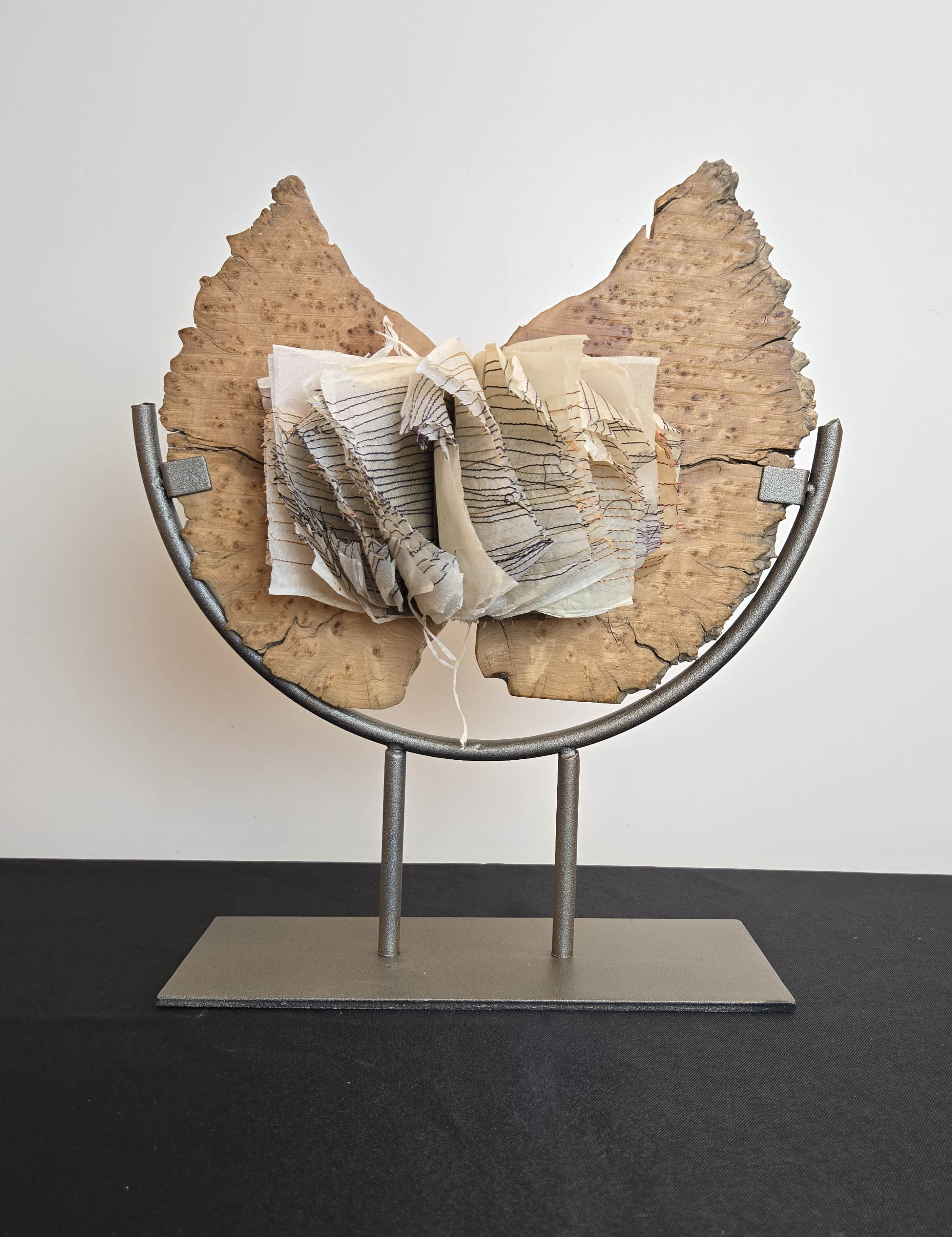 Shared Lives: David Lloyd Bradley & Tess Mosko Scherer gallery photo 3