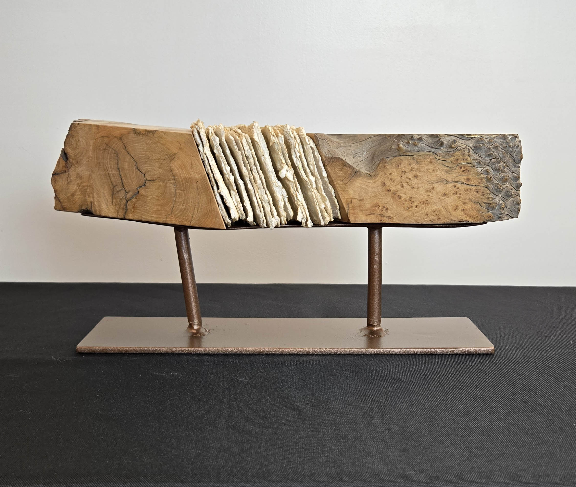 Shared Lives: David Lloyd Bradley & Tess Mosko Scherer gallery photo 4