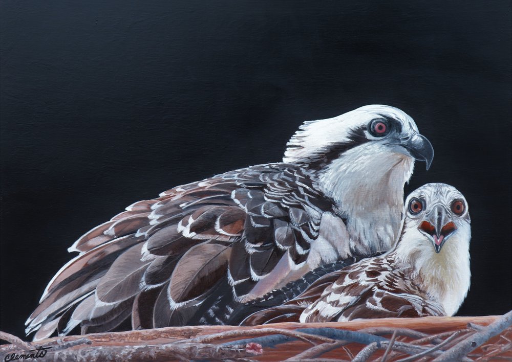 Barbara Clements gallery 9