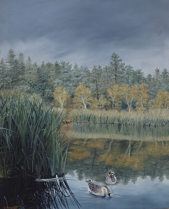 Barbara Clements gallery 13