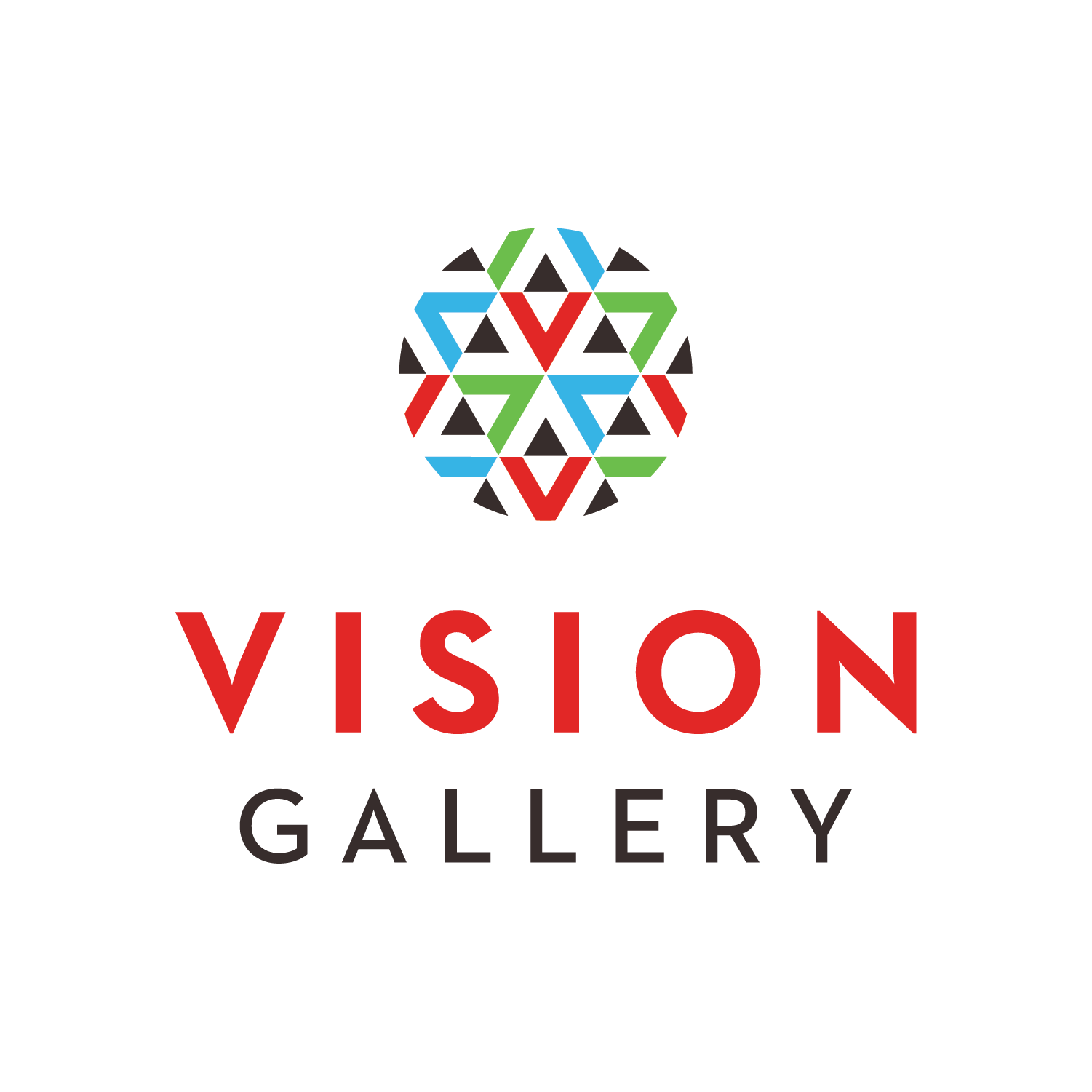 Vision Gallery
